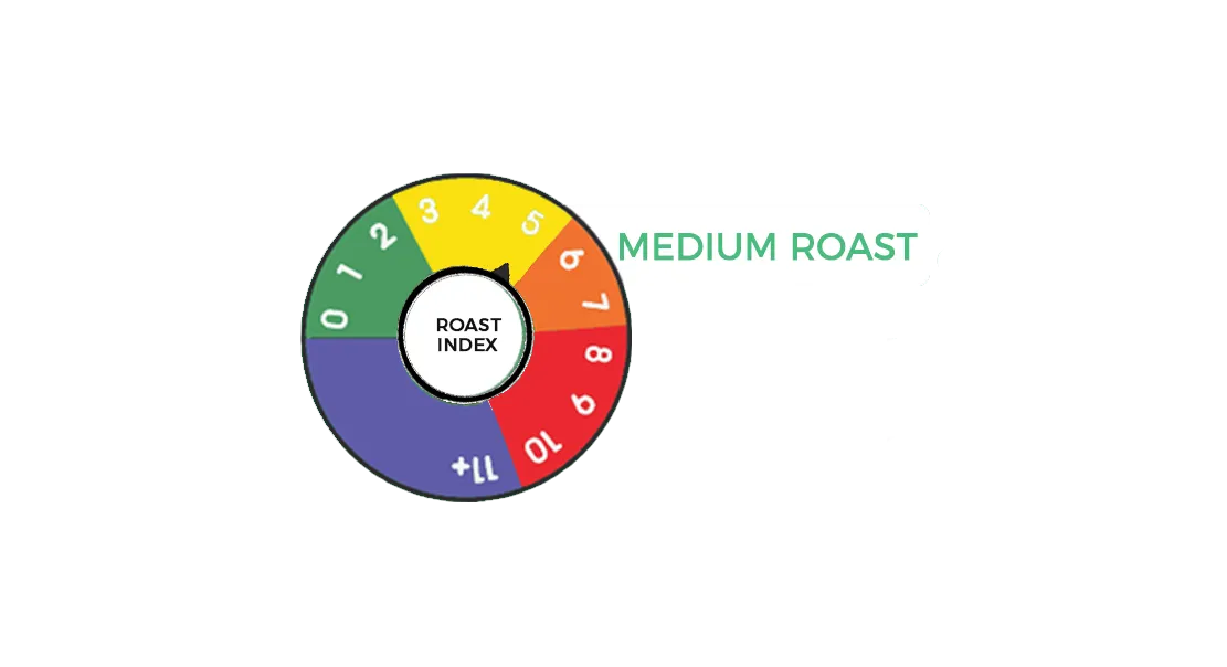 Boardwalk Blend - Medium Roast