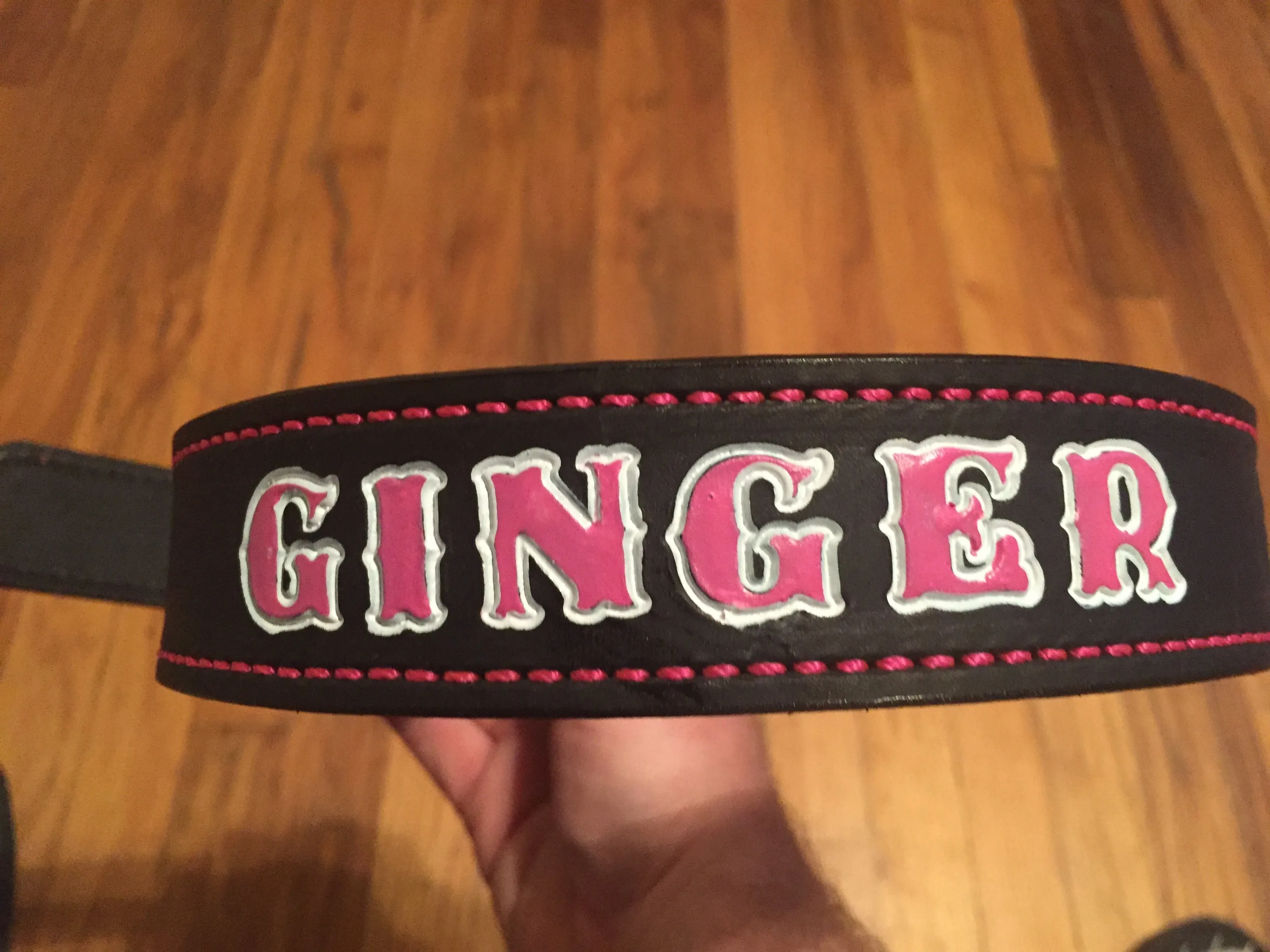 Dog Collar