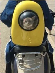 Dog or Cat Astronaut Capsule Backpack