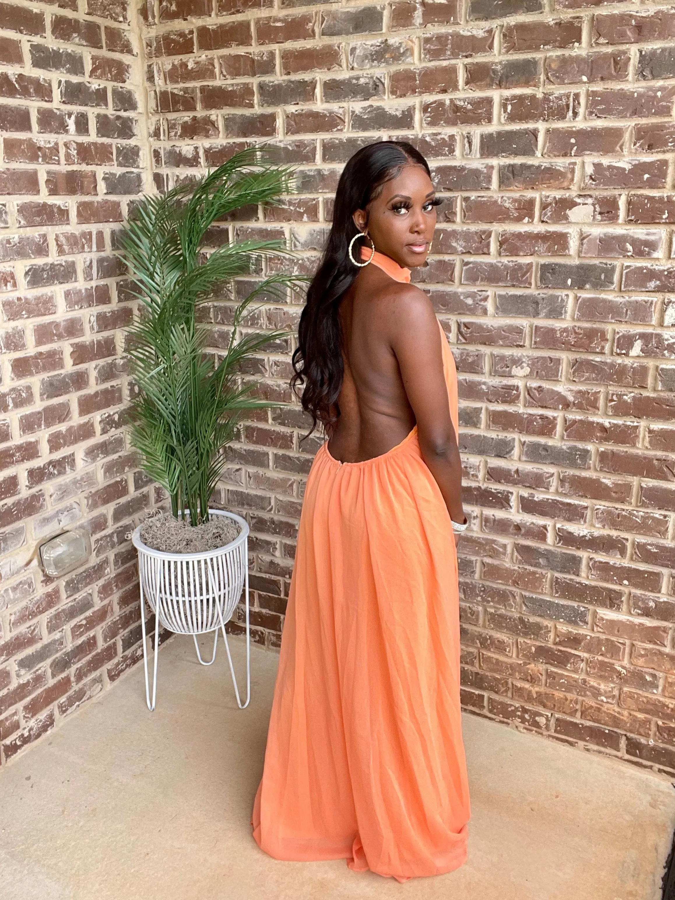 Luxor Open Back Jumpsuit