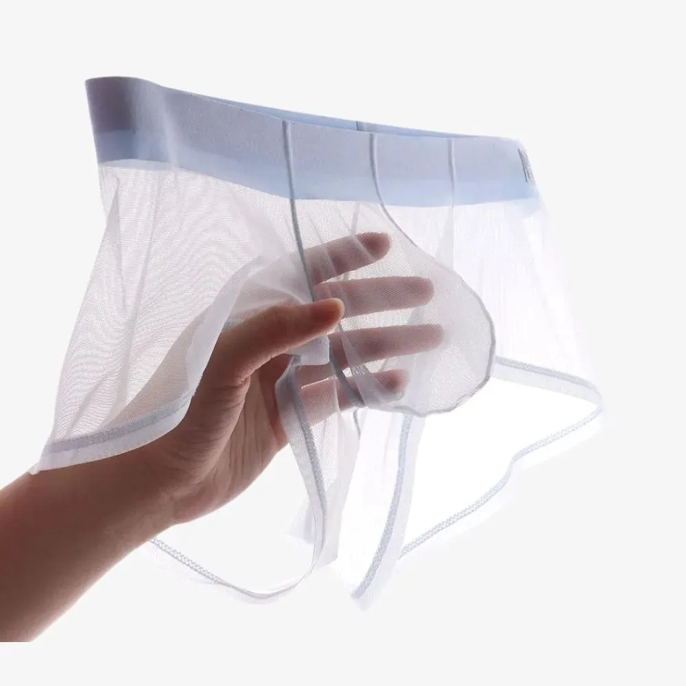 Men's See-through Dual Pouch Low-Rise Mesh Underpants Up to Size XXL (5-Pack) -JEWYEE 1970