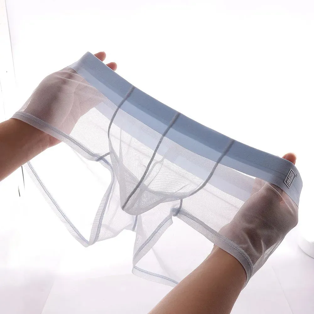 Men's See-through Dual Pouch Low-Rise Mesh Underpants Up to Size XXL (5-Pack) -JEWYEE 1970