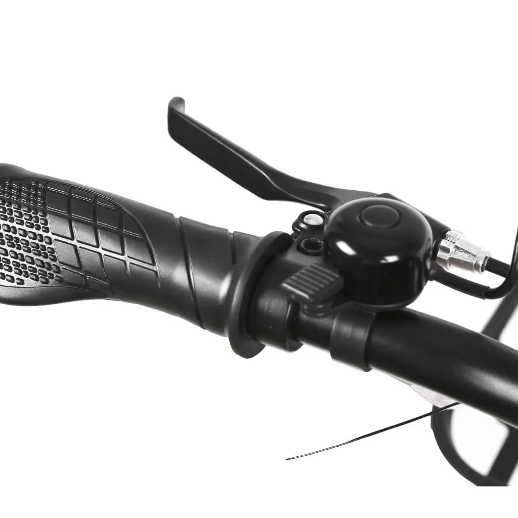 Nakto Pony City Cargo 20" Electric Bike 250W 36V